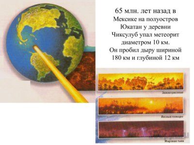 Презентация систематика рептилий - слайд 1 1 слайд презентации систематика рептилий