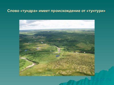 Презентация природная зона Тундра - слайд 3 3 слайд презентации природная зона Тундра