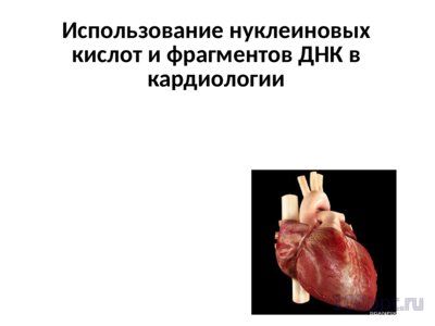 Презентация нуклеиновые кислоты - слайд 10 10 слайд презентации нуклеиновые кислоты
