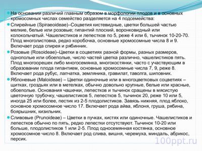 Презентация семейство розоцветные - слайд 7 7 слайд презентации семейство розоцветные