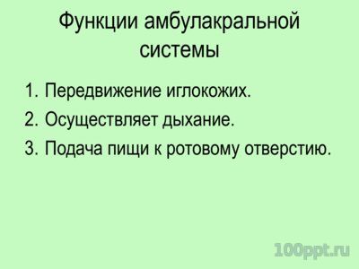 Презентация тип иглокожие - слайд 6 6 слайд презентации тип иглокожие
