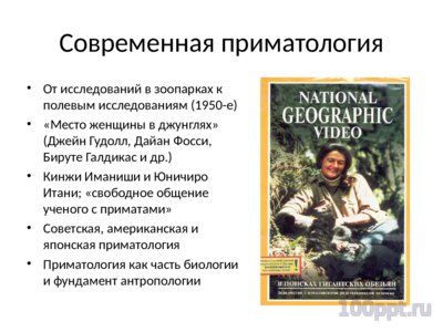 Презентация современные приматы - слайд 7 7 слайд презентации современные приматы