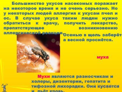 Презентация вредные и полезные насекомые - слайд 3 3 слайд презентации вредные и полезные насекомые