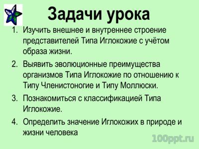Презентация тип иглокожие - слайд 1 1 слайд презентации тип иглокожие