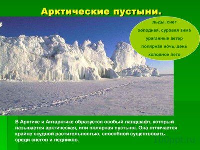 Презентация природные зоны Земли - слайд 4 4 слайд презентации природные зоны Земли