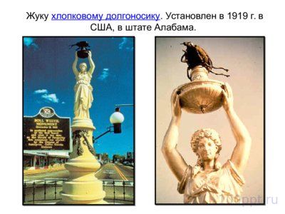 Презентация памятники насекомым - слайд 4 4 слайд презентации памятники насекомым