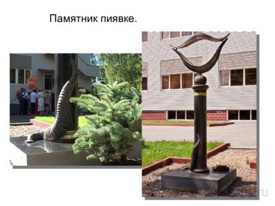 Презентация памятники насекомым - слайд 7 7 слайд презентации памятники насекомым