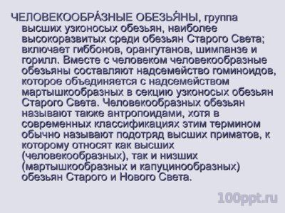Презентация человекообразные обезьяны - слайд 1 1 слайд презентации человекообразные обезьяны