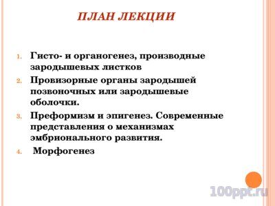 Презентация онтогенез многоклеточных - слайд 1 1 слайд презентации онтогенез многоклеточных