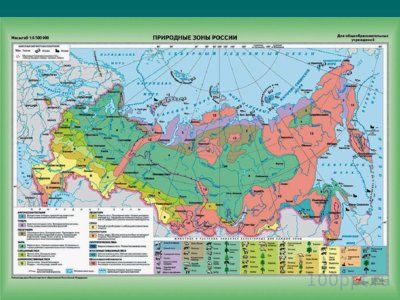 Презентация природная зона Тундра - слайд 5 5 слайд презентации природная зона Тундра