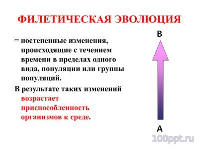 Презентация микроэволюция - слайд 3 3 слайд презентации микроэволюция