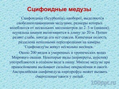 Презентация губки и кишечнополостные - слайд 9 9 слайд презентации губки и кишечнополостные