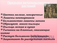 Презентация цветение и опыление растений - слайд 9 9 слайд презентации цветение и опыление растений