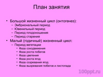 Презентация жизненные циклы винограда - слайд 1 1 слайд презентации жизненные циклы винограда