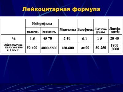 Презентация физиология крови - слайд 8 8 слайд презентации физиология крови