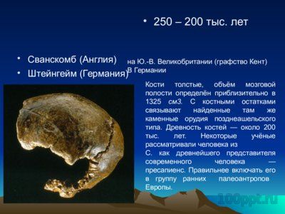 Презентация основные находки ископаемых гоминид - слайд 8 8 слайд презентации основные находки ископаемых гоминид