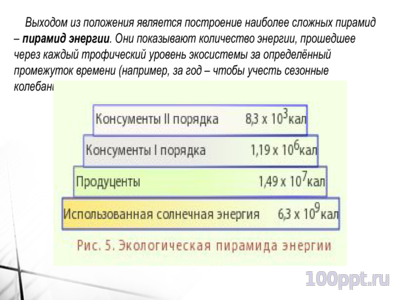 Презентация цепи питания - слайд 8 8 слайд презентации цепи питания