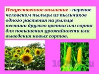 Презентация цветение и опыление растений - слайд 12 12 слайд презентации цветение и опыление растений
