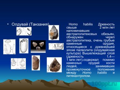Презентация основные находки ископаемых гоминид - слайд 4 4 слайд презентации основные находки ископаемых гоминид