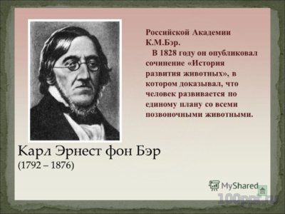 Презентация галерея ученых биологов - слайд 8 8 слайд презентации галерея ученых биологов