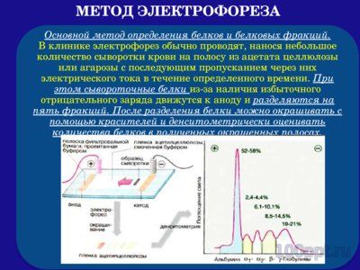 Презентация белки плазмы крови - слайд 5 5 слайд презентации белки плазмы крови