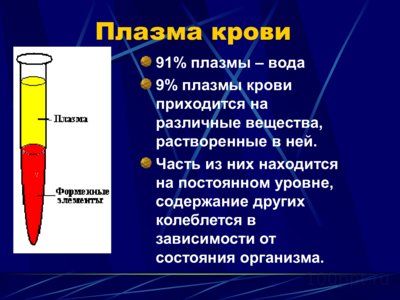 Презентация физиология крови - слайд 4 4 слайд презентации физиология крови
