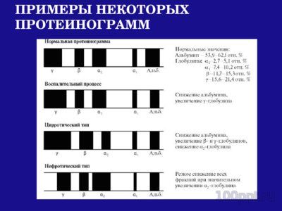Презентация белки плазмы крови - слайд 6 6 слайд презентации белки плазмы крови