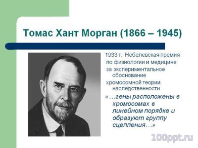 Презентация галерея ученых биологов - слайд 9 9 слайд презентации галерея ученых биологов