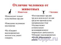 Презентация человек личность - слайд 1 1 слайд презентации человек личность