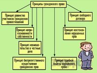 Презентация гражданские правоотношения - слайд 8 8 слайд презентации гражданские правоотношения