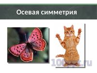 Презентация природа говорит языком математики - слайд 2 2 слайд презентации природа говорит языком математики