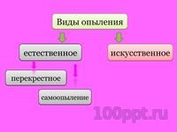 Презентация цветение и опыление растений - слайд 5 5 слайд презентации цветение и опыление растений