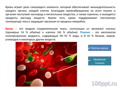 Презентация кровеносная система человека - слайд 1 1 слайд презентации кровеносная система человека