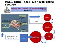 Презентация человек личность - слайд 5 5 слайд презентации человек личность