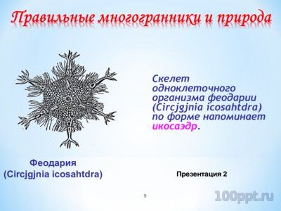 Презентация правильные многогранники - слайд 7 7 слайд презентации правильные многогранники