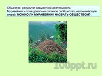 Презентация что изучает обществознание - слайд 6 6 слайд презентации что изучает обществознание