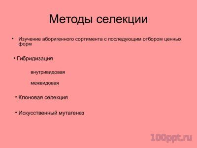Презентация селекция виноградства и ампелография - слайд 1 1 слайд презентации селекция виноградства и ампелография