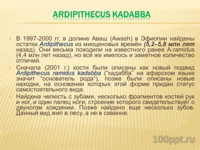 Презентация древние гоминиды - слайд 4 4 слайд презентации древние гоминиды