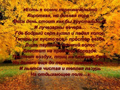 Презентация биография Фёдора Тютчева - слайд 9 9 слайд презентации биография Фёдора Тютчева