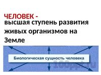 Презентация человек личность - слайд 3 3 слайд презентации человек личность