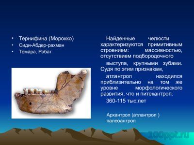 Презентация основные находки ископаемых гоминид - слайд 6 6 слайд презентации основные находки ископаемых гоминид