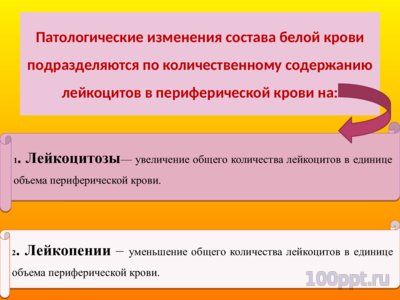 Презентация патофизиология белой крови - слайд 4 4 слайд презентации патофизиология белой крови