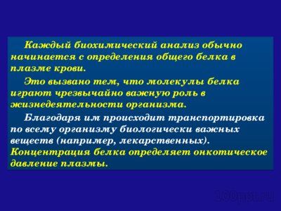 Презентация белки плазмы крови - слайд 1 1 слайд презентации белки плазмы крови