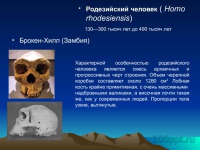 Презентация основные находки ископаемых гоминид - слайд 3 3 слайд презентации основные находки ископаемых гоминид